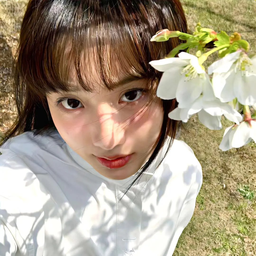 大决战之辽沈战役